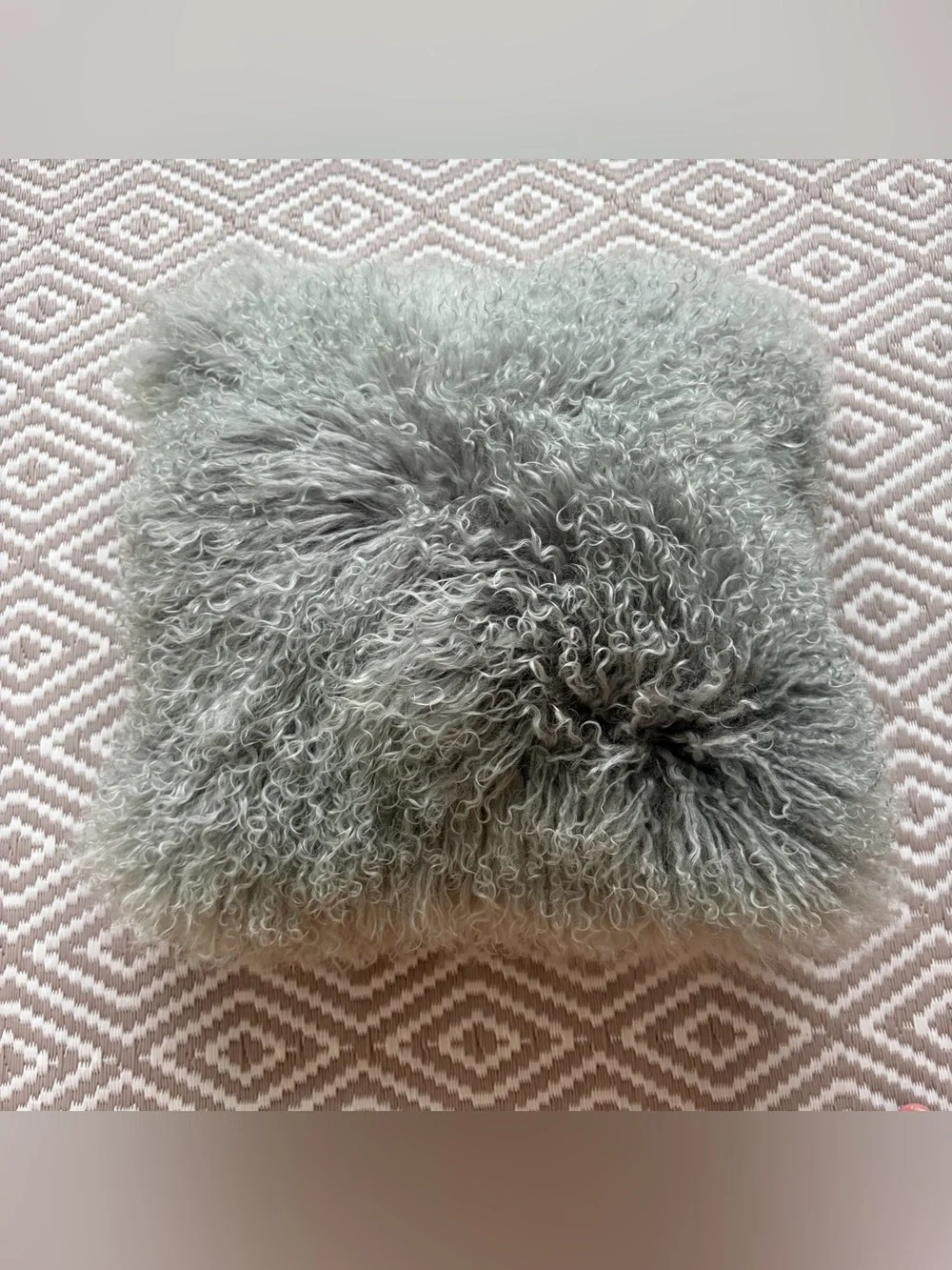 West Elm 100% Dyed Lamb Fur Mongolian Shag Curly Hair 16”x16” Pillow